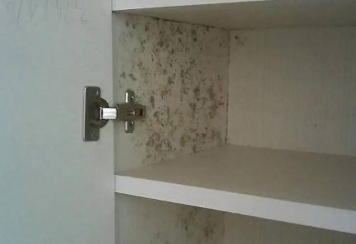 衣柜发霉了怎么办?