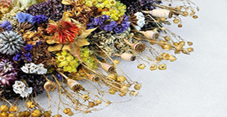 干花 干花