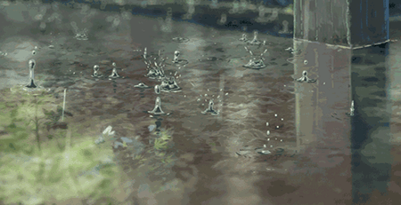 雨季 雨季